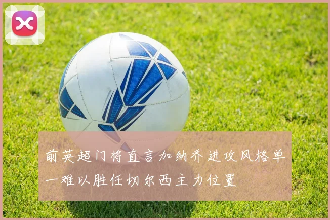 前英超门将直言加纳乔进攻风格单一难以胜任切尔西主力位置
